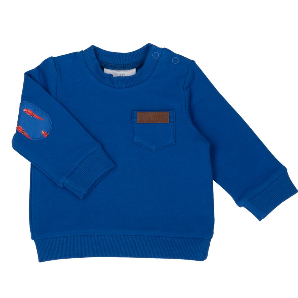 PULL PERROQUET